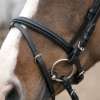 Show in main carousel: Horze Weston Flash Horse Bridle with Reins, Brown, Horse slide 10 of 10