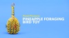 Show in main carousel: Planet Pleasures Pineapple Foraging Bird Toy, Small, Color Varies slide 5 of 6