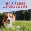 Show in main carousel: Beg & Barker Whole Beef Chips All Natural Single Ingredient Dog Treats, 8-oz bag slide 11 of 11