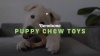 Show in main carousel: Benebone Bacon Flavor Tough Puppy Chew Toy, 2 count slide 8 of 9