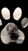 Show in main carousel: RIFRUF Caesar 2 Dog Boots, Griffin, 1 slide 8 of 8