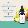 Show in main carousel: Prana Pets Intestinal Defense Herbal Dewormer Liquid Supplement for Cats & Dogs, 2-fl oz bottle slide 9 of 9