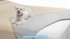 Show in main carousel: Paw Inspired Waterproof Dog & Cat Bed & Furniture Protector Cover, Tan/Gray slide 7 of 8