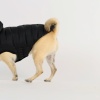 Show in main carousel: GF Pet Cloud Dog Parka, Black, XX-Small slide 11 of 13