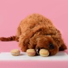 Show in main carousel: Bonne et Filou Handmade Strawberry Human-Grade Macaron Dog Treats, 6 count slide 12 of 13