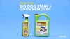 Show in main carousel: Simple Green Bio Dog Stain & Odor Remover, 1-gal jug slide 9 of 11