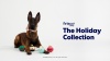 Show in main carousel: Frisco Christmas Reindeer, Santa & Snowman Interchangeable Teaser Wand Cat Toy with Silvervine & Catnip, 3 count slide 6 of 6