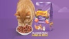 Show in main carousel: Friskies Surfin' & Turfin' Favorites Muscle & Immune Support Crunchy Dry Cat Food, 3.15-lb bag slide 12 of 13