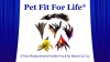 Show in main carousel: Pet Fit For Life 6 Piece Replacement Feather Pack for Wand Cat Toy slide 9 of 10