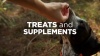 Show in main carousel: Super Snouts Joint Power Powder Joint Supplement for Dogs & Cats, 5.29-oz jar slide 10 of 11