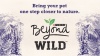 Show in main carousel: Purina Beyond Wild Prey-Inspired Grain-Free High Protein Turkey, Liver & Duck Pate Recipe Canned Dog Food, 13-oz, case of 12 slide 11 of 12