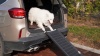 Show in main carousel: Coziwow by Jaxpety Heavy Duty Foldable Dog Car Ramp, 63-in slide 10 of 10