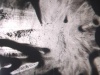 Reel 5 thumbnail