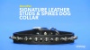 Show in main carousel: OmniPet Signature Leather Studs & Spikes Dog Collar, Black, 16-in slide 5 of 6