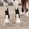 Show in main carousel: Horze Horse Fetlock Boots, Black, Horse slide 10 of 10