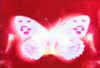 OM II thumbnail