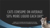 Show in main carousel: Purina Pro Plan Veterinary Diets Hydra Care Liver Flavored Liquid Supplement for Cats, 2.65-oz pouch, case of 12, bundle of 3 slide 10 of 12