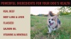 Show in main carousel: Redbarn Powerfood Digestive Health Beef & Lamb Gently Air Dried Dog Food, 32-oz bag slide 11 of 12