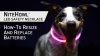 Show in main carousel: Nite Ize NiteHowl LED Safety Necklace Dog Collar, Blue, 12 to 27-in neck, 3/10-in wide slide 10 of 11