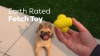 Show in main carousel: Earth Rated Rubber Fetch Chew Dog Toy, Small slide 10 of 11