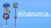 Show in main carousel: Four Paws Roam About Dog Tie Out Stake, Without Cable slide 3 of 5