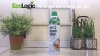 Show in main carousel: EcoLogic Ant & Roach Killer Aerosol Spray, 14-fl oz bottle slide 10 of 10