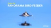 Show in main carousel: Perky-Pet Panorama Bird Feeder, Copper slide 8 of 9