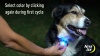 Show in main carousel: Nite Ize SpotLit LED Disc-O Select Dog Collar Light slide 11 of 11