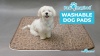 Show in main carousel: Paw Inspired Washable Dog Pee Pads, 32 x 30-in pattern, 2 count, Unscented slide 9 of 10