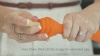 Show in main carousel: Project Hive Pet Company Hive Sweet Mango Scented Fetch Stick Dog Toy, Orange  slide 6 of 6