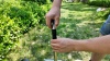 Show in main carousel: Niubya Dog Stainless Steel Rake Pooper Scooper Set, Silver & Green slide 7 of 8