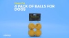 Show in main carousel: Hyper Pet 4 Pack of Balls for Dogs, Orange, Mini slide 6 of 7
