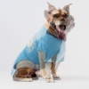Show in main carousel: GF Pet Graphic Dog T-Shirt, Blue, XX-Large slide 9 of 9