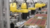 Twelve FANUC SCARA Robots Automate Cartridge Packaging