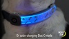 Show in main carousel: Nite Ize NiteDog Rechargeable LED Dog Collar Cover slide 10 of 11