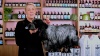 Show in main carousel: Melanie Newman Everyday Dog Cond Spray, 250-ml bottle slide 7 of 7