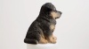 Show in main carousel: Hi-Line Gift German Shepherd Puppy Statue, 10.43-in slide 8 of 8