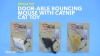 Show in main carousel: Ethical Pet Door-Able Bouncing Mouse Cat Toy with Catnip, Color Varies slide 6 of 7
