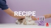 Show in main carousel: Plato Air-Dried Cat Treats Chicken Recipe 2.5oz, 2.5oz slide 9 of 9