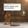 Show in main carousel: Manna Pro Chick Grit with Probiotics Chicken, 5-lb bag slide 10 of 11