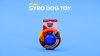 Show in main carousel: KONG Gyro Dog Toy, Small slide 7 of 8