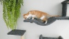 Show in main carousel: FUKUMARU 4 in 1 Wooden Climbing Cat Wall Shelves Set, Grey slide 8 of 9