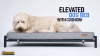 Show in main carousel: KOPEKS Orthopedic Elevated Bolster Dog Bed with Removable Cover, Gray, X-Large slide 7 of 7