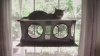 Show in main carousel: K&H Pet Products EZ Mount Penthouse Cat Window Perch Kitty Sill, Grey & Black slide 10 of 11