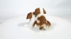Show in main carousel: Hi-Line Gift King Charles Puppies Sitting Statue, 5.91-in slide 8 of 8