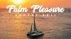 catamaran sunset cruise daytona beach