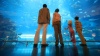 Show in main carousel: Instant Ocean Reef Salt for Aquariums, 200-gal slide 7 of 8