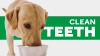 Show in main carousel: TropiClean Fresh Breath Water Additive + No Brushing Clean Teeth Dental Gel for Dogs slide 10 of 11