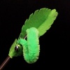 Show in main carousel: Playology Inchworm Teaser Cat Toy slide 7 of 8