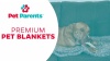Show in main carousel: Pet Parents Premium Cat, Puppy & Dog Blanket, Slate, Medium slide 10 of 11